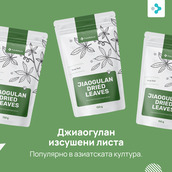 Image preview 2