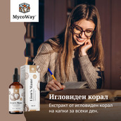 Image preview 1
