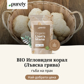 Image preview 1