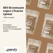 Image preview 2