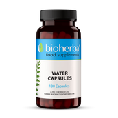 Image preview main