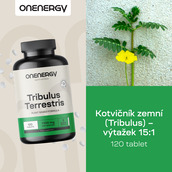 Image preview 2