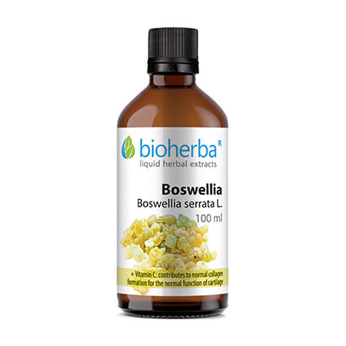 Boswellie - tinktura, 100 ml