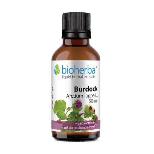 Lopuch - tinktura, 50 ml