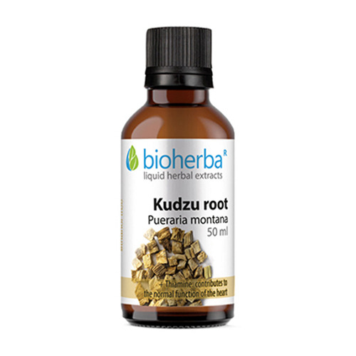 Kudzu root (maranta japonská) - tinktura, 50 ml