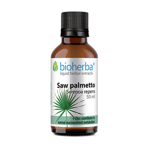 Serenoa plazivá (palmetto) - tinktura, 50 ml