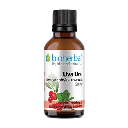 Medvědice lékařská (Uva ursi) - tinktura, 50 ml