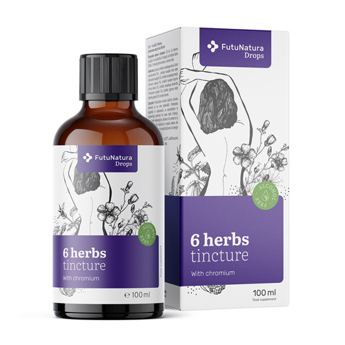 6 bylin – tinktura, 100 ml