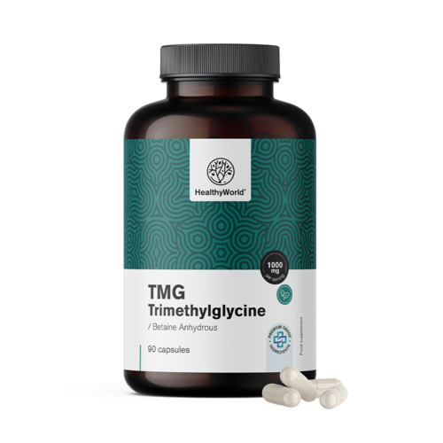 TMG – Trimethylglycin, 90 kapslí