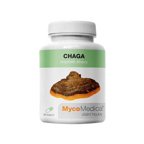 Chaga (Čaga) - houby, 90 kapslí