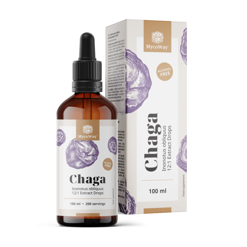 Chaga – výtažek v kapkách, 100 ml