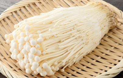 Enoki Enoki