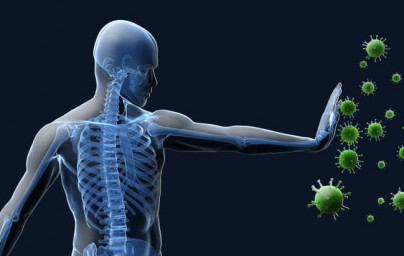Immunsystem Immunsystem