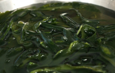 Wakame Wakame
