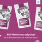 Image preview 2