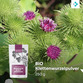 Image preview 1