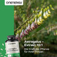 Image preview 2