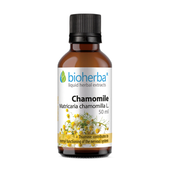 Image preview main