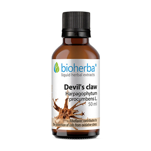 Garra del diablo (harpagófito) – tintura, 50 ml