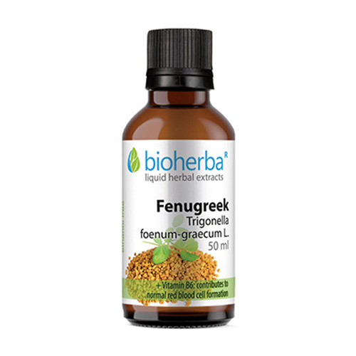 Alholva (fenogreco) – tintura, 50 ml