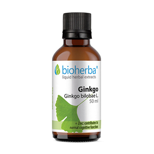 Ginkgo biloba – tintura, 50 ml