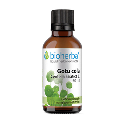 Gotu kola - tintura, 50 ml