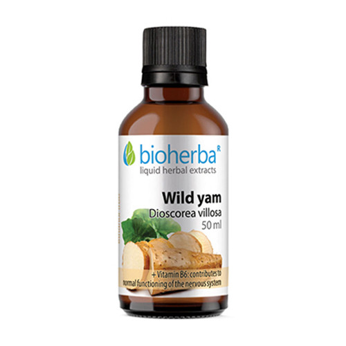 Ñame silvestre – tintura, 50 ml