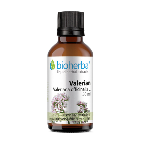 Valeriana – tintura, 50 ml