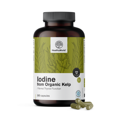 Yodo natural 200 µg - de algas kelp orgánicas, 365 cápsulas