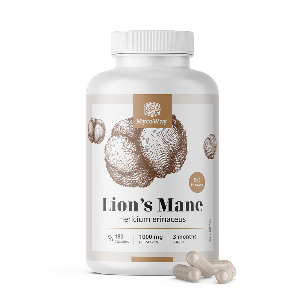 Barbudo resistente 1000 mg - extracto 5:1.