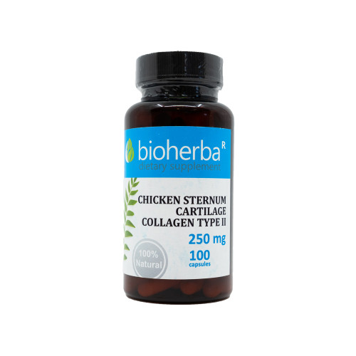 Collagène de type II 250 mg, 100 gélules