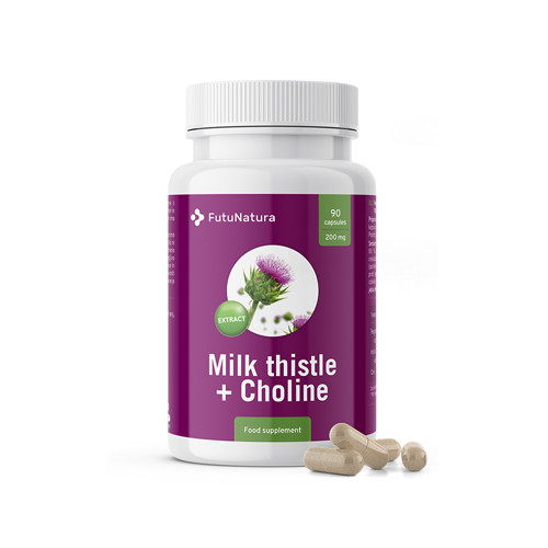 Chardon Marie (silymarine) + choline, 90 gélules