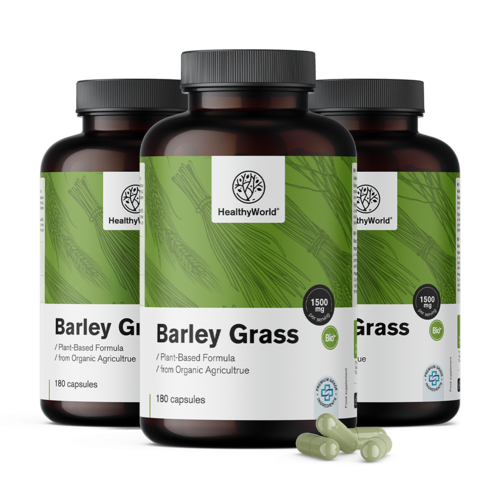 3x Herbe d'orge 1500 mg, ensemble 540 gélules 