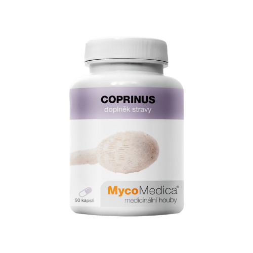 Champignon Coprinus, 90 gélules