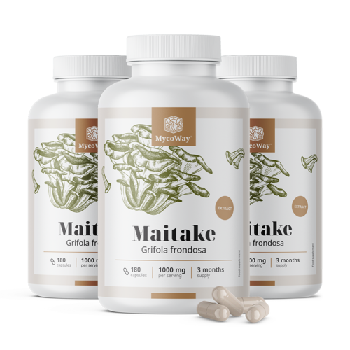 3x Maitaké 1000 mg – extrait, ensemble 540 gélules