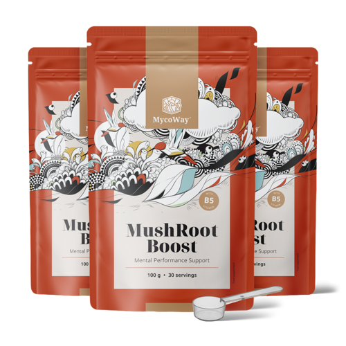 3x MushRoot Boost - boisson pour la performance mentale, ensemble 300 g