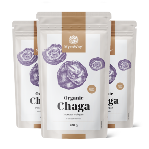 3x BIO Poudre de chaga, ensemble 600 g