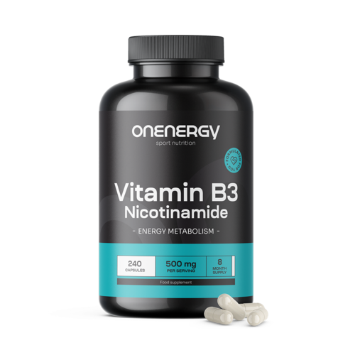 Vitamine B3 500 mg - nicotinamide, 240 gélules