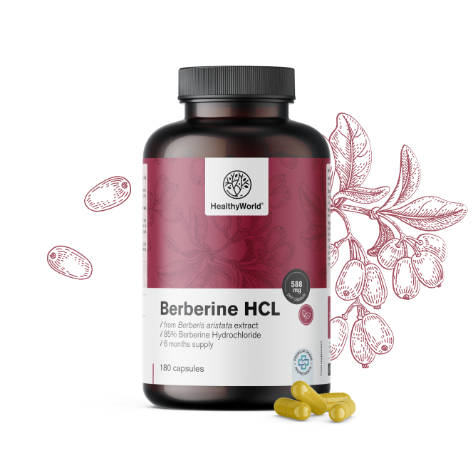 Βερβερίνη HCL 500 mg