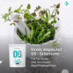 Image preview 3