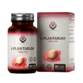 Image preview main