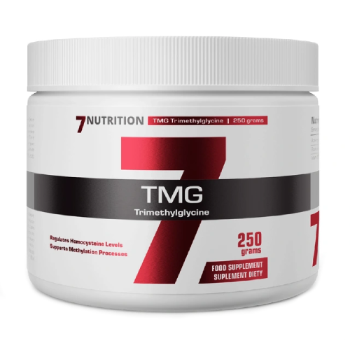 TMG u prahu.