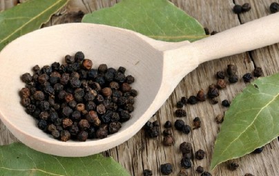 Papar (Piper nigrum) Papar (Piper nigrum)