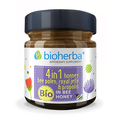 BIO kompleks s medom – ApiMix, 280 g