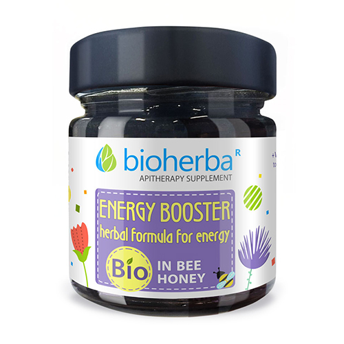 BIO kompleks s medom – Energy Booster, 280 g