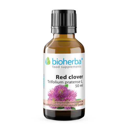 Crvena djetelina - tinktura, 50 ml