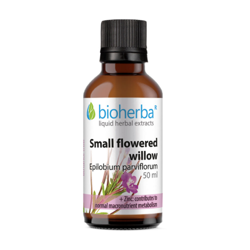Sitnocvjetna vrbolika - tinktura, 50 ml