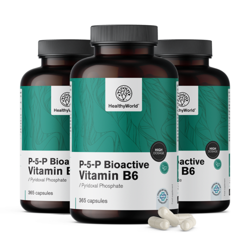 3x P-5-P – Bioaktivni vitamin B6, ukupno 1095 kapsula