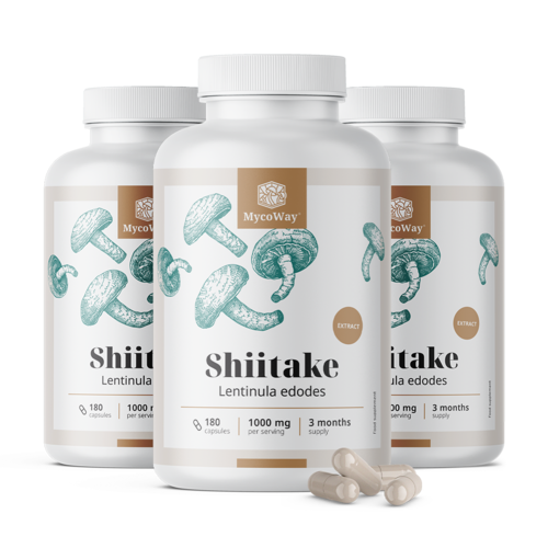 3x Shiitake 1000 mg – ekstrakt, ukupno 540 kapsula