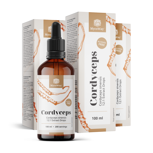 3x Cordyceps – ekstrakt u kapima, ukupno 300 ml